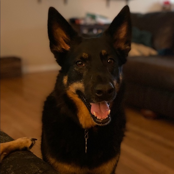 Hi! Meet your seller / buyer... - Picture 4 of 5